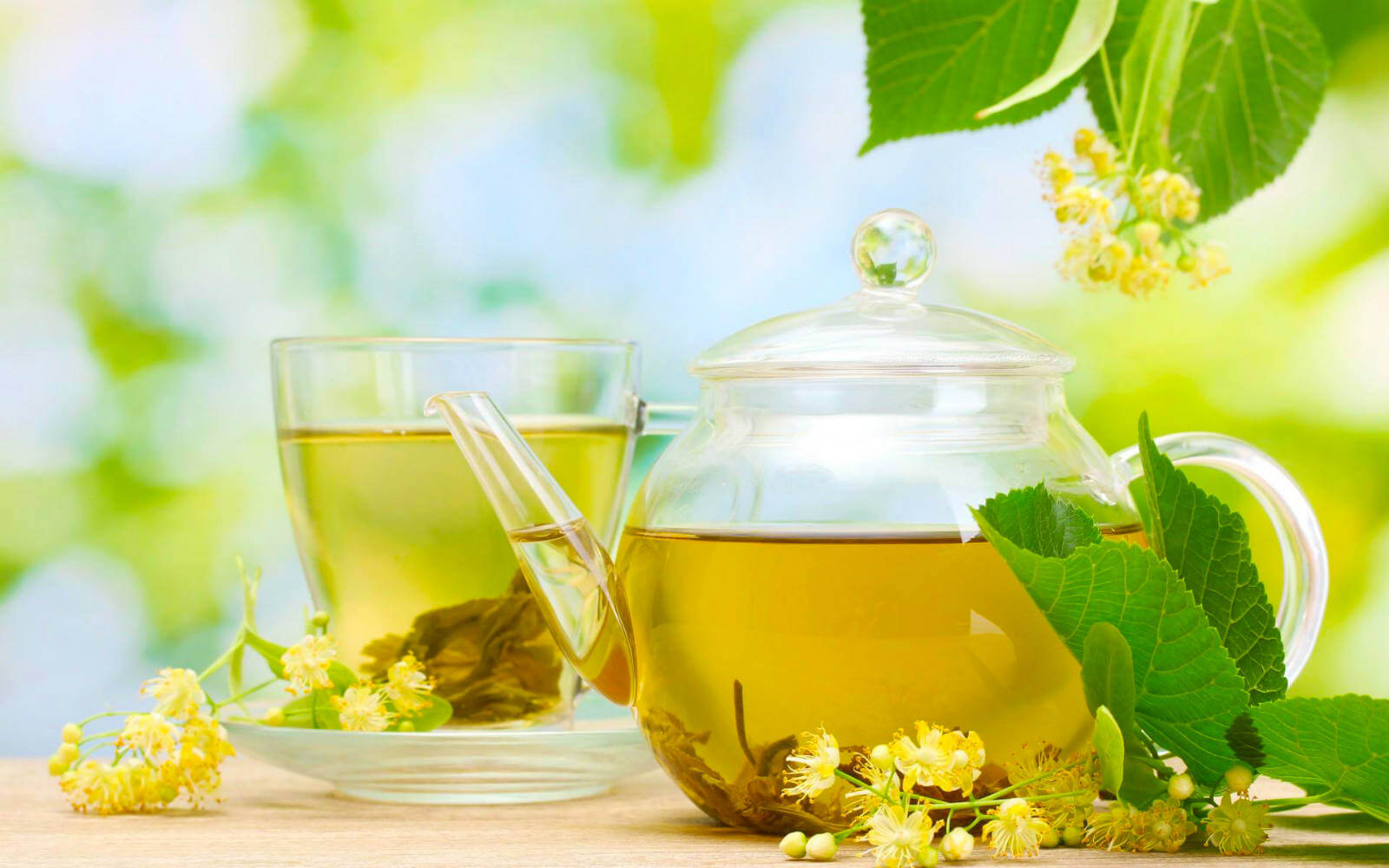 Những loại trà thảo dược có khả năng giảm stress, giúp ngủ ngon