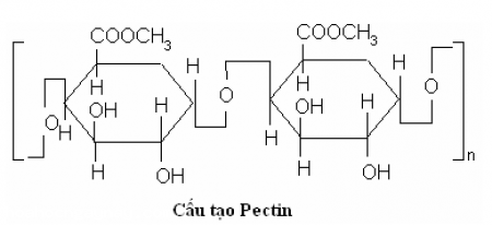 Pectin có tác dụng ngăn ngừa sự hình thành và phát triển của tế bào ung thư