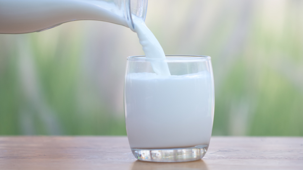 Sữa tốt cho người bệnh gút