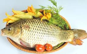 Cá nước ngọt- Thực phẩm dành cho người bệnh gút