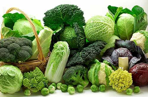 Bệnh gút kiêng ăn rau gì? Top 5 loại rau người bệnh gút nên tránh xa