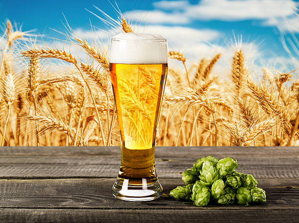  Bia rất giàu đạm chứa nhân purin - yếu tố gây tăng acid uric máu