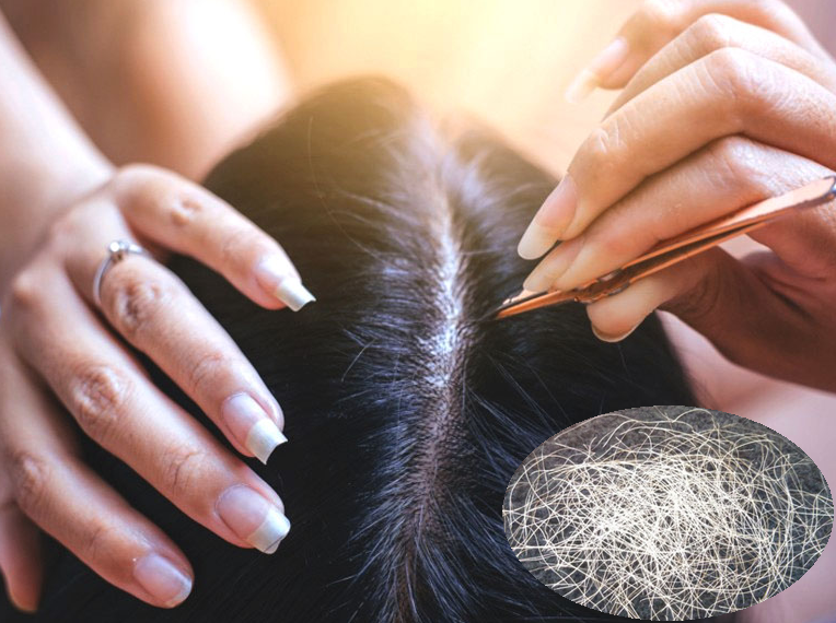 4 cách trị tóc bạc sớm bằng lá ổi bạn chưa biết | Qik Hair