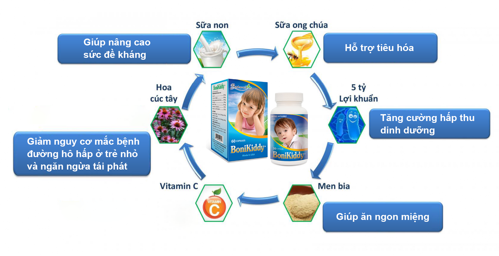 Thành phần toàn diện của BoniKiddy +