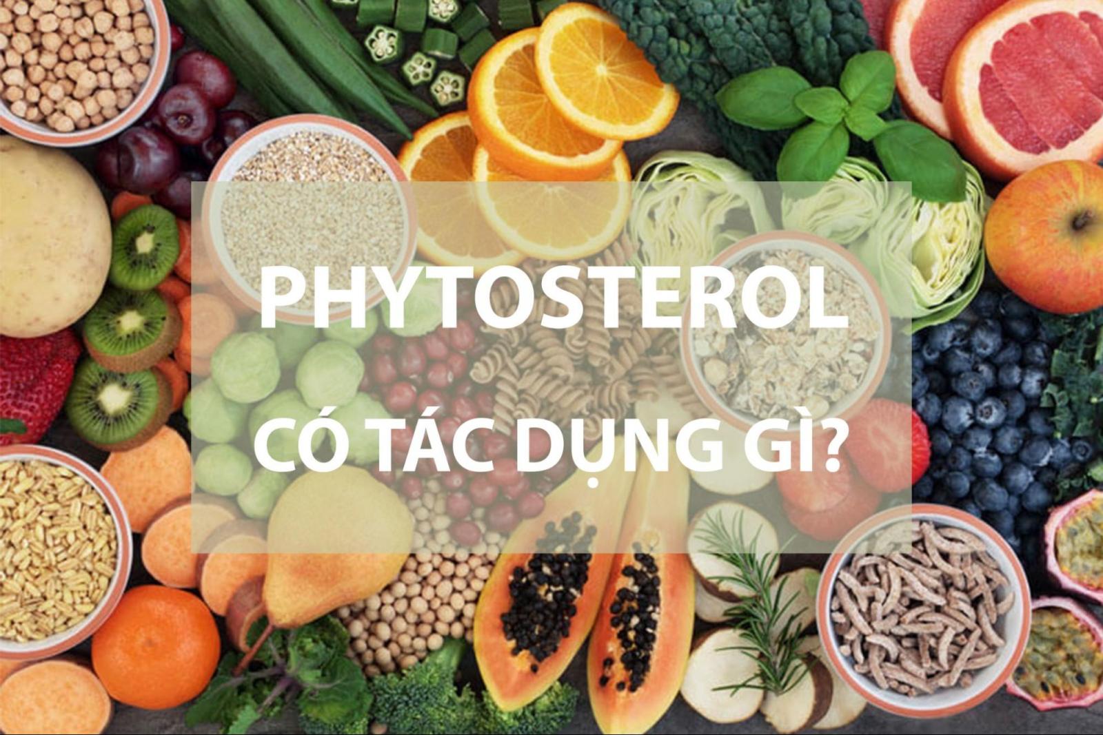 Phytosterol là chất gì? Phytosterol có tác dụng gì?