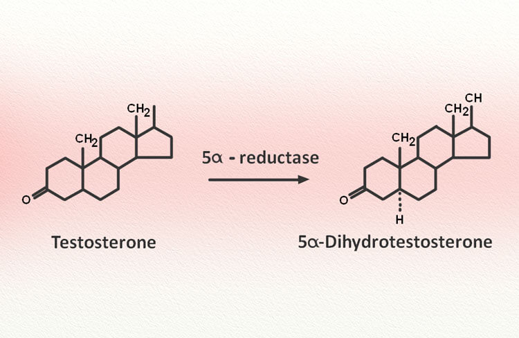Phytosterol tác động được vào căn nguyên gây bệnh phì đại tuyến tiền liệt