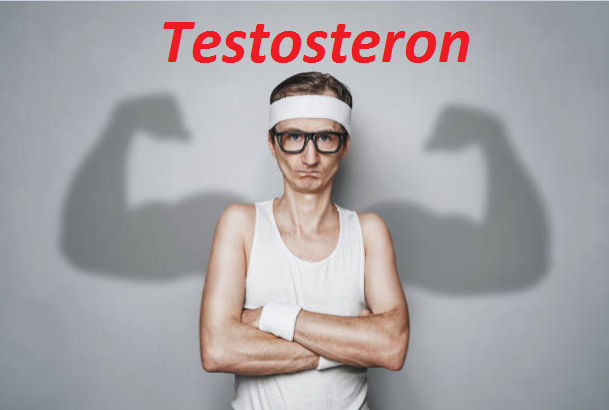 Testosteron là yếu tố giúp tạo nên sinh lực phái mạnh