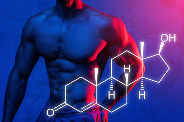 Testosterone có vai trò gì với sinh lý nam giới?
