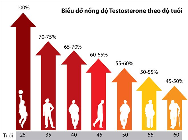 Nồng độ testosterone giảm theo tuổi tác gây xuất tinh sớm