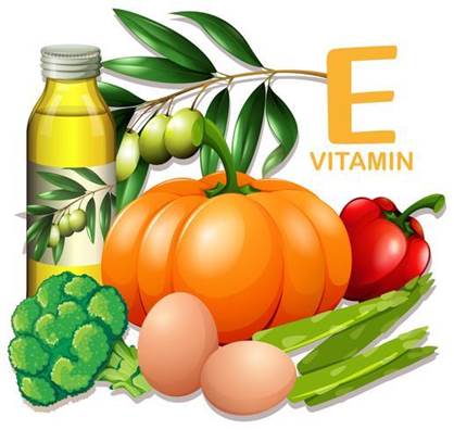 Các thực phẩm giàu vitamin E