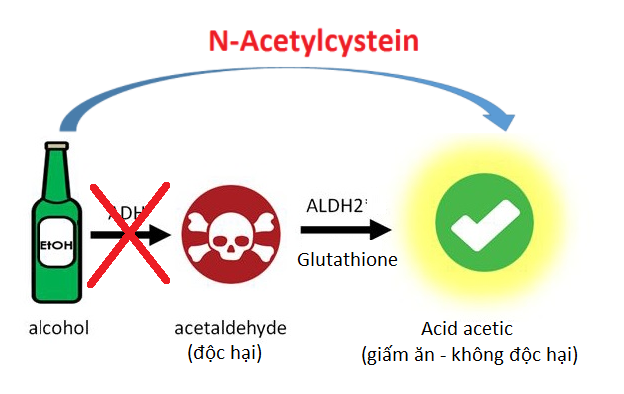 N-Acetylcystein giúp ngăn hình thành chất độc hại acetaldehyde gây say xỉn