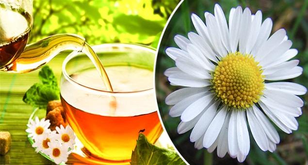 Trà hoa cúc mật ong có tác dụng giúp giải rượu