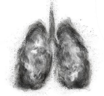 Bụi mịn và bụi siêu mịn có kích thước đủ nhỏ để xâm nhập đến tận phế nang của phổi và vào máu