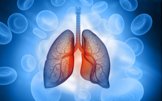 Phổi yếu là gì? Cần làm gì để có lá phổi khỏe mạnh?