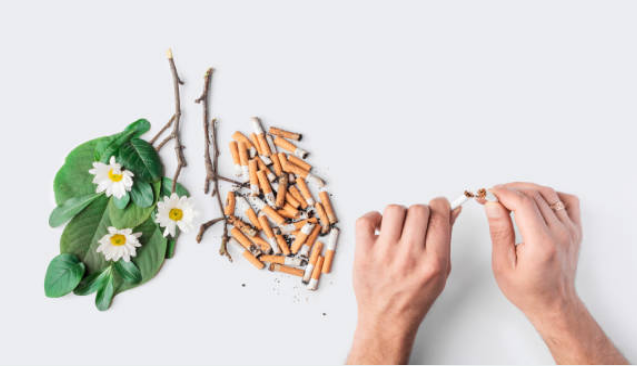 1️⃣ Cách thanh lọc lá phổi cho người hút thuốc lá- Thuốc lá 555