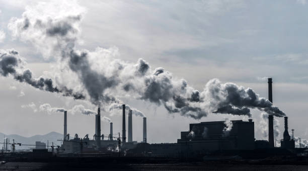 Người bệnh COPD ngày càng tăng cao do ô nhiễm môi trường