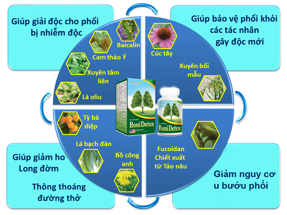 Cơ chế tác động toàn diện của BoniDetox