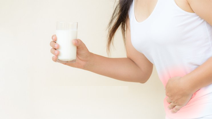 Người không dung nạp lactose sẽ bị đau bụng đi ngoài sau khi uống sữa hoặc ăn các chế phẩm từ sữa