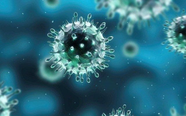 virus cúm b gây sốc nhiễm khuẩn