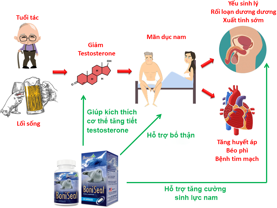 BoniSeal giải quyết tất cả các vấn đề sinh lý ở nam giới trong thời kỳ mãn dục