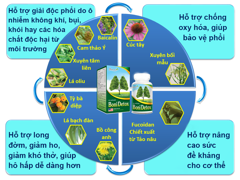 Những thảo dược tự nhiên trên được kết hợp trong sản phẩm BoniDetox