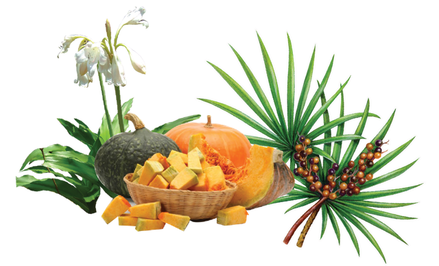 Dùng thảo dược thiên nhiên để cải thiện phì đại lành tính tuyến tiền liệt