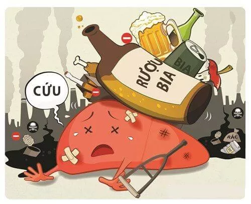 men gan cao: hậu quả và cách hỗ trợ điều trị