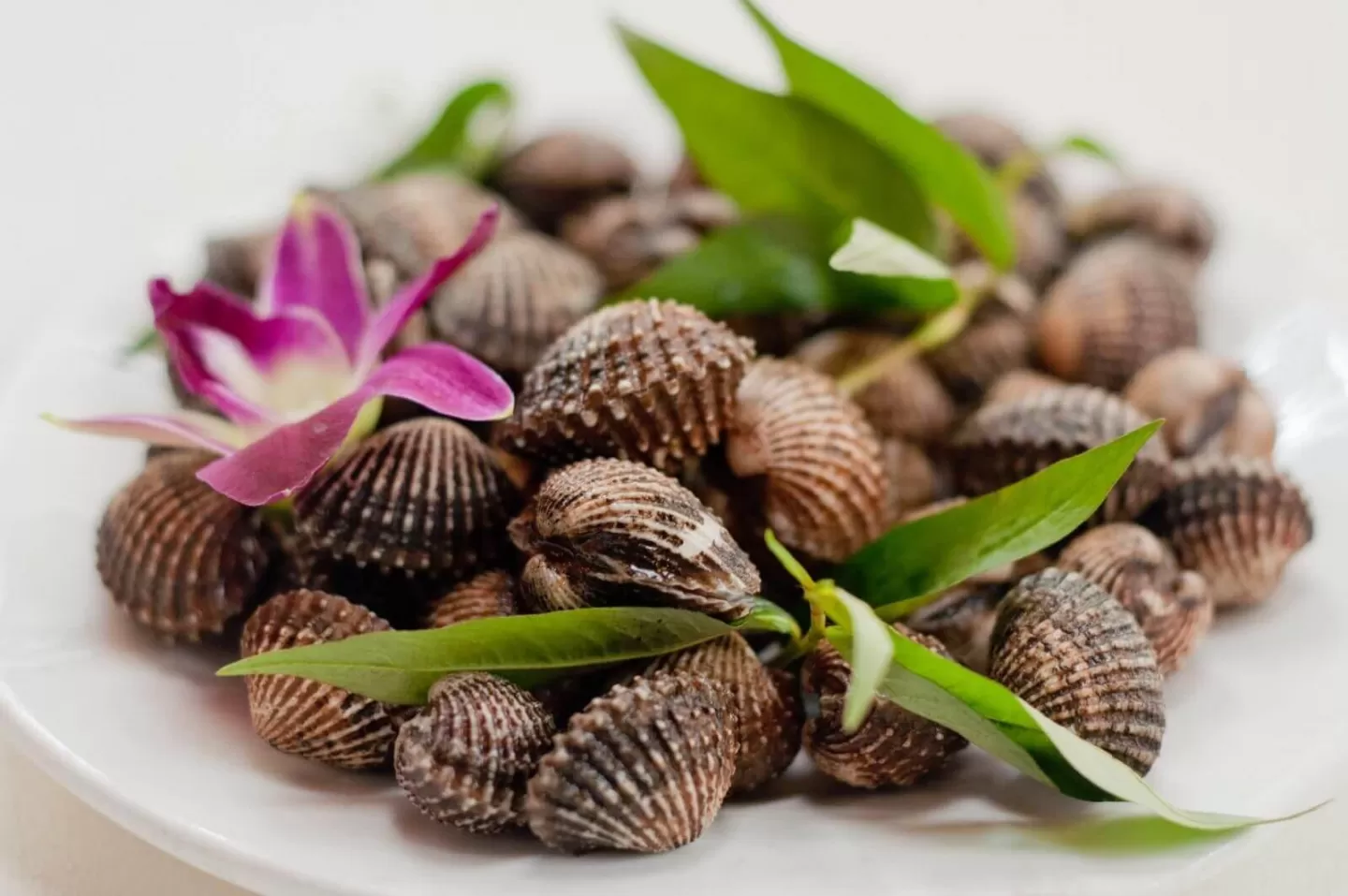 5 loại hải sản tráng dương