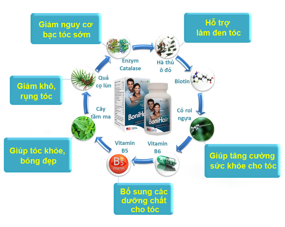 Công thức toàn diện của BoniHair
