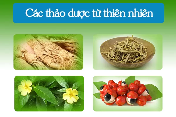 Các thảo dược từ thiên nhiên trong BoniSeal +