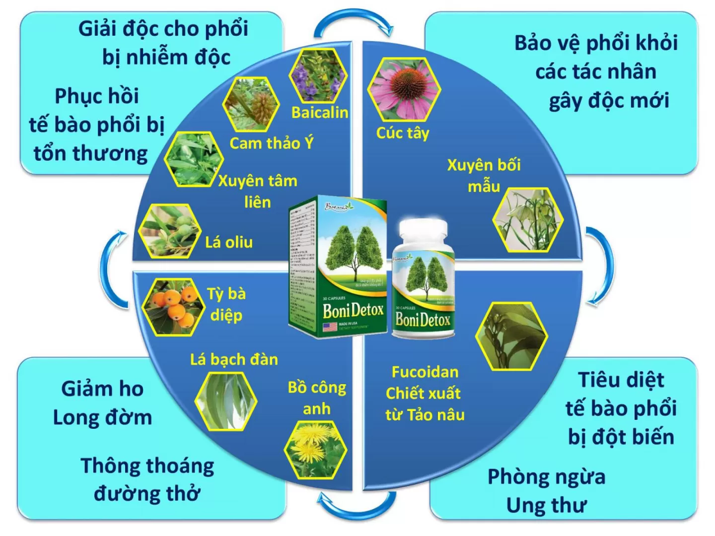 BoniDetox giá bao nhiêu? BoniDetox mua ở đâu?