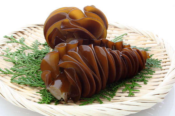Fucoidan - Chiết xuất từ tảo nâu giúp ngăn ngừa ung thư phổi
