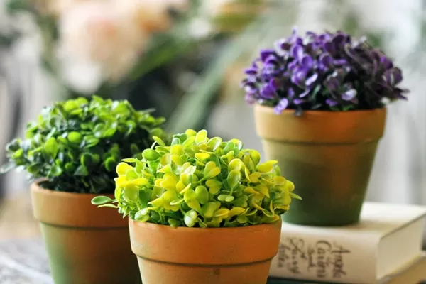 Giải cứu làn da khô ráp do hay ngồi điều hòa với viên uống BoniSnow
