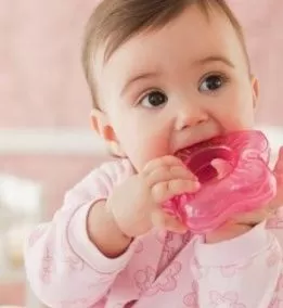 Kết quả hình ảnh cho mọc răng ở tre
