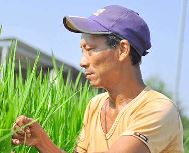 Hết rồi nỗi lo bệnh thoái hóa khớp