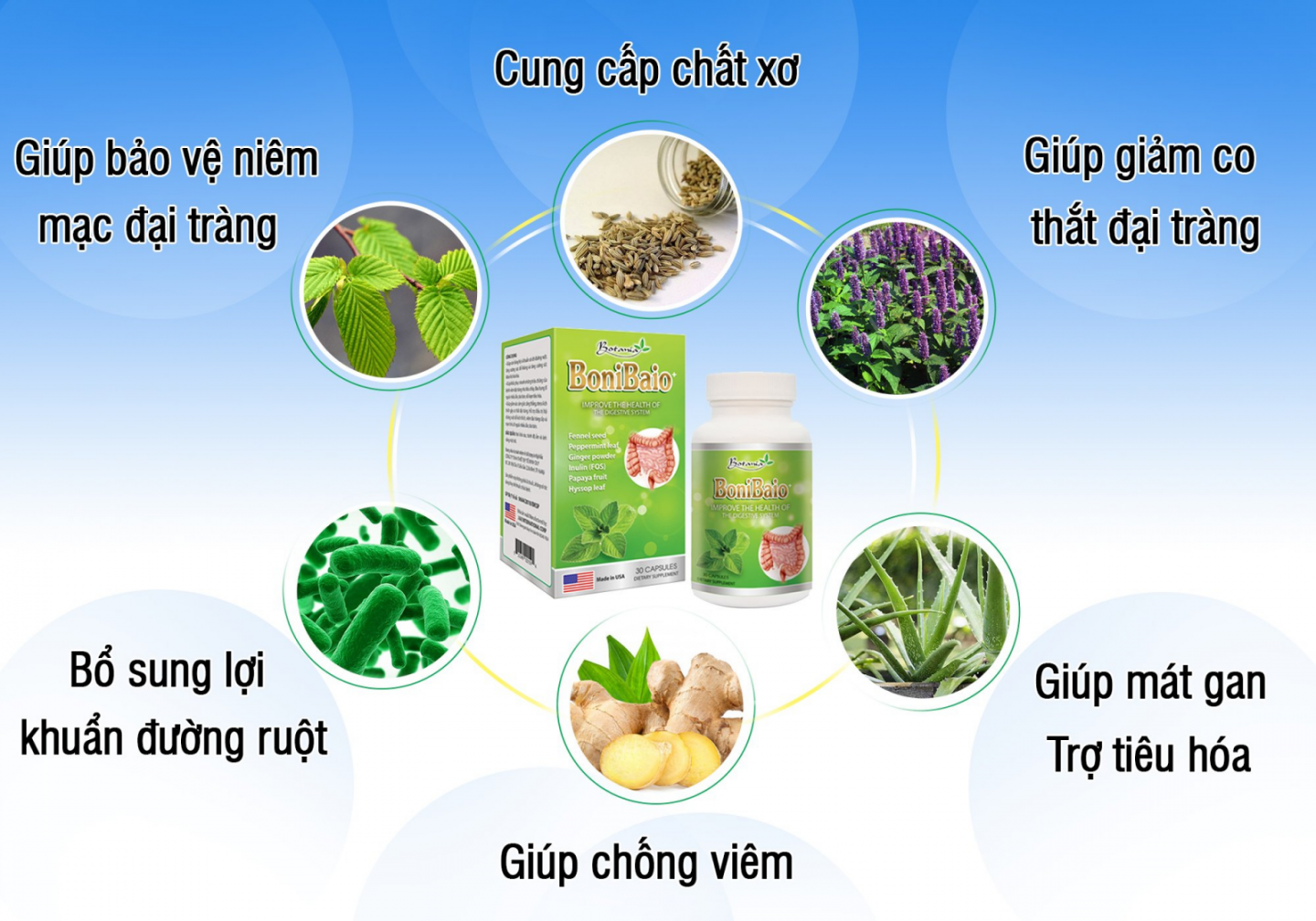 Thành phần toàn diện của sản phẩm BoniBaio +