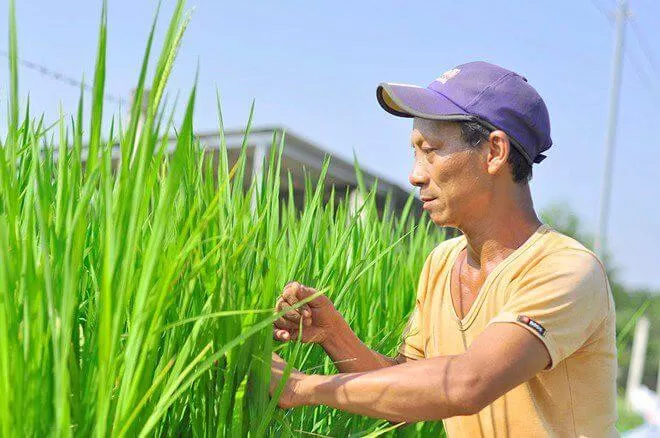 Sống khỏe hơn vì hết bệnh thoái hóa xương khớp