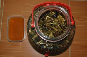 Uống rượu ngâm thuốc phiện - lợi bất cập hại