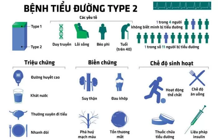 Một số thông tin về bệnh tiểu đường type 2.